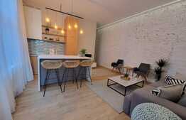 Apartament 2 camere, zona Piata Mihai Viteazu, finisaje moderne, afacere la cheie!