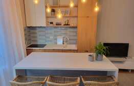 Apartament 2 camere, zona Piata Mihai Viteazu, finisaje moderne, afacere la cheie!