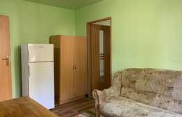 Apartament 2 camere, 30 mp, zona Politia Albac