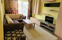 Apartament 2 camere, la cheie, 48 mp., zona Terra