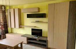 Apartament 2 camere, la cheie, 48 mp., zona Terra