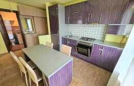 Apartament 2 camere, la cheie, 48 mp., zona Terra