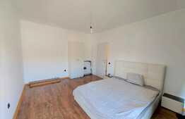 Apartament 2 camere, 50 mp., zona Porii