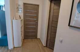 Apartament 2 camere, moder/lux, 50 mp., zona Cetatii