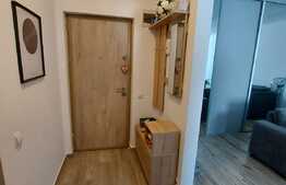 Apartament 2 camere, moder/lux, 50 mp., zona Cetatii