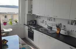 Apartament 3 camere , 71 mp .