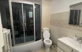 Casa individuala + anexa si spatiu de birou / comercial, 1071 mp teren , Avram Iancu 