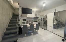 Casa individuala + anexa si spatiu de birou / comercial, 1071 mp teren , Avram Iancu 