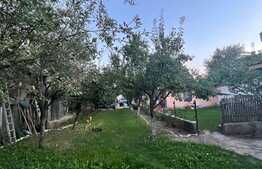 Casa individuala + anexa si spatiu de birou / comercial, 1071 mp teren , Avram Iancu 