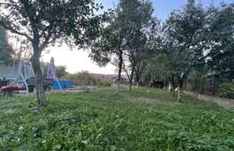 Casa individuala + anexa si spatiu de birou / comercial, 1071 mp teren , Avram Iancu 