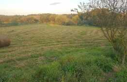 Teren intravilan cu casa renovabila, 5200 mp, Jucu de Mijloc