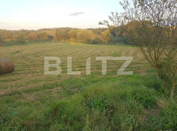 Teren de vânzare Exterior Est - 71686TV | BLITZ Cluj-Napoca | Poza1