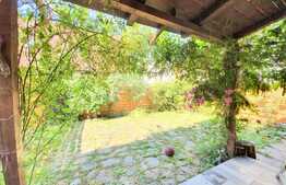 Oportunitate! Triplex cu 3 camere si gradina! Zona Eroilor!