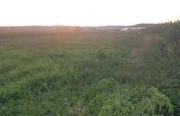 Teren intravilan, 5800 mp, 24 ml front, Jucu de Mijloc