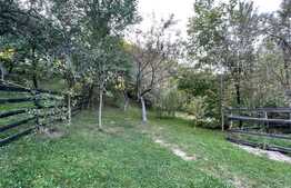 Casa individuala de vanzare  , 110 mp, 3 nivele, 1000 teren, sat Tauti 