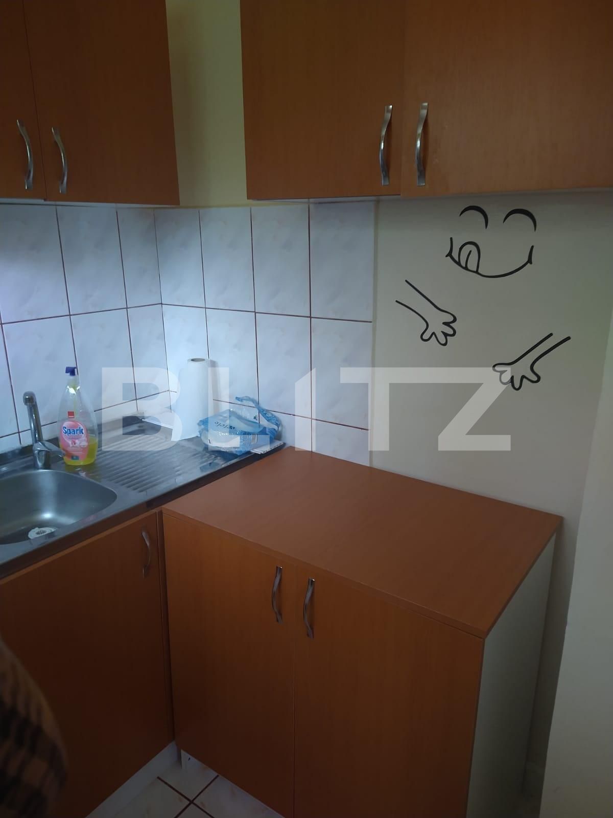 Garsonieră de închiriat Manastur - 71747AI | BLITZ Cluj-Napoca | Poza5