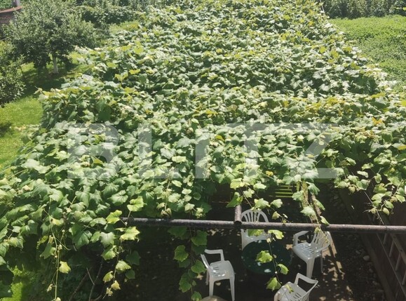 Casa de vânzare 4 camere Hălchiu - 71749CV | BLITZ Brașov | Poza7