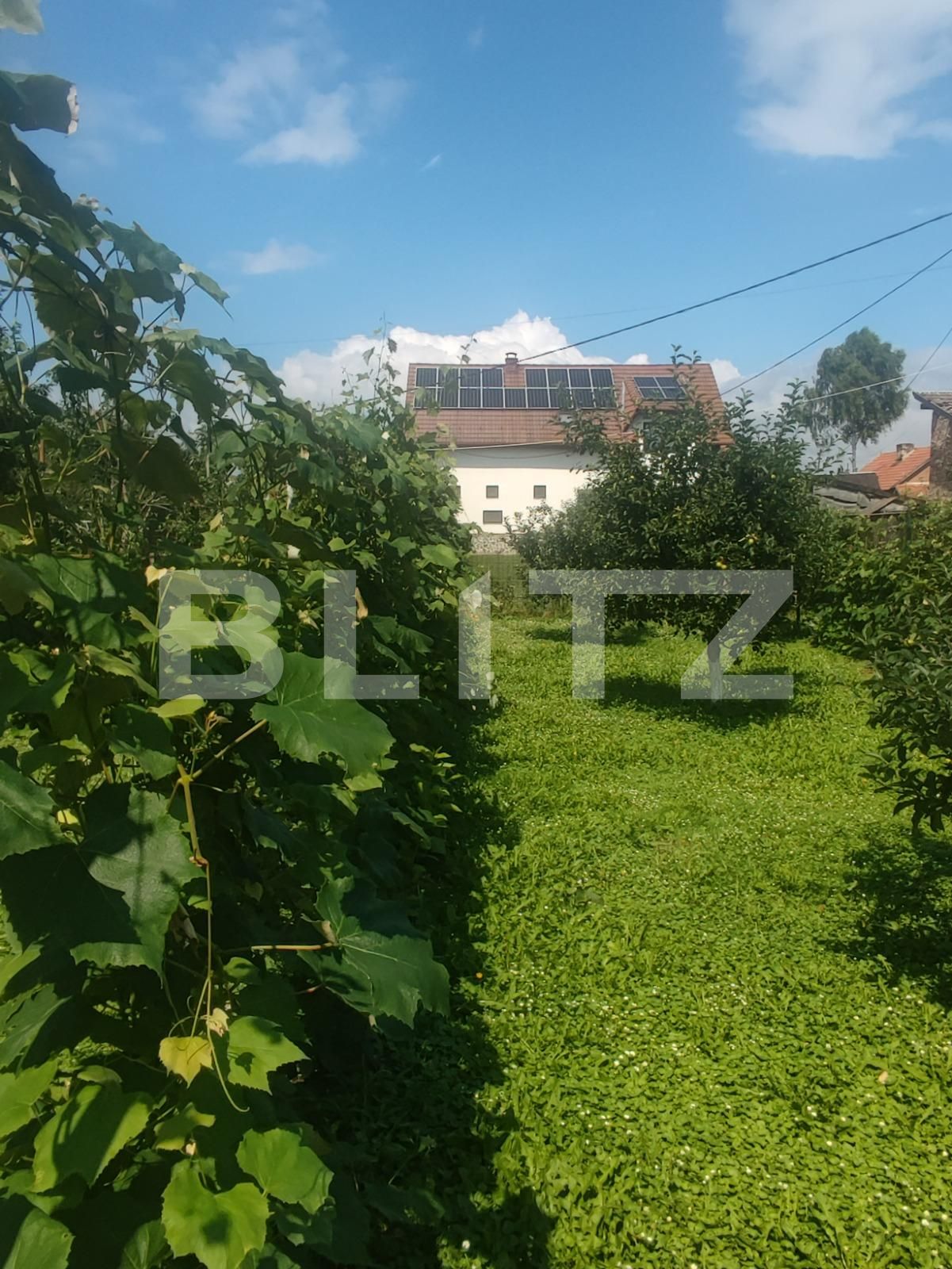 Casa de vânzare 4 camere Hălchiu - 71749CV | BLITZ Brașov | Poza5