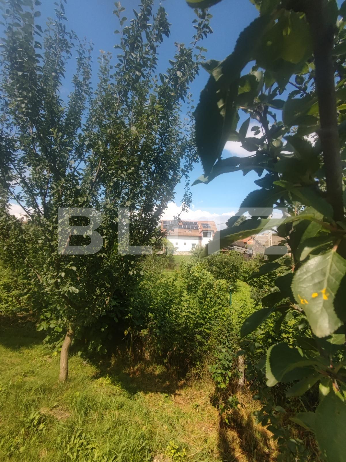 Casa de vânzare 4 camere Hălchiu - 71749CV | BLITZ Brașov | Poza9
