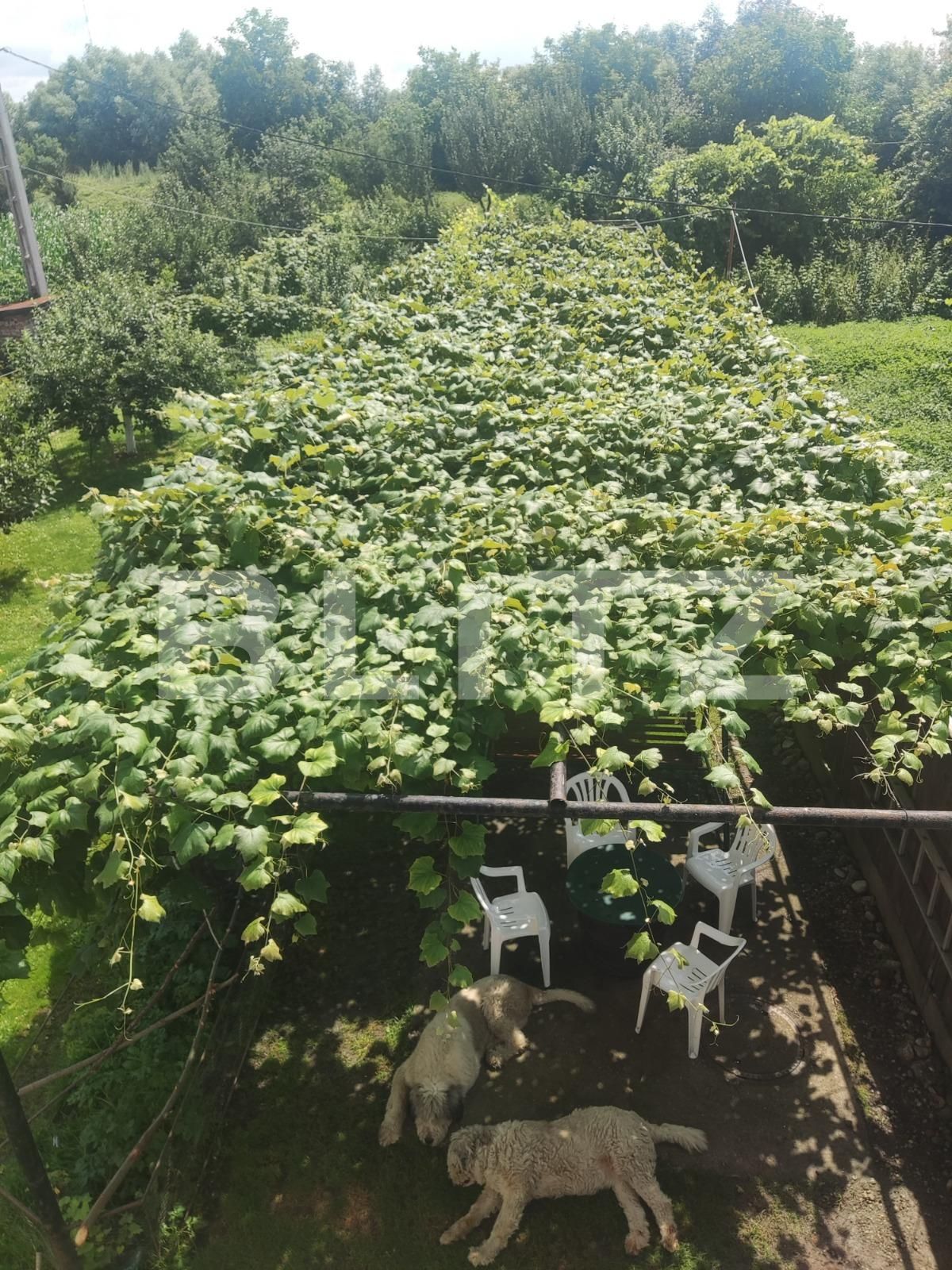 Casa de vânzare 4 camere Hălchiu - 71749CV | BLITZ Brașov | Poza7