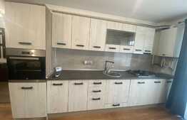 Apartament 2 camere , cu preluare de chiriasi ,mobilat/utilat,parcare subterana ,Corneliu Coposu ! 