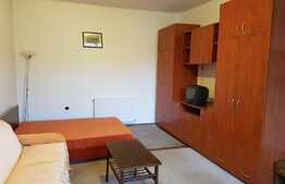Apartament 1 camera, 42 mp, zona strazii Horea