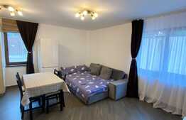 Aprtament 2 camere, la cheie, Zorilor