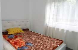 Apartament cu o camera, 30 mp, la parterul unei case, zona Horea