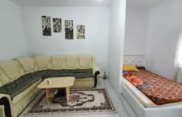 Apartament cu o camera, 30 mp, la parterul unei case, zona Horea