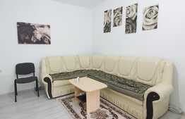 Apartament cu o camera, 30 mp, la parterul unei case, zona Horea
