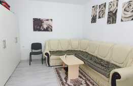 Apartament cu o camera, 30 mp, la parterul unei case, zona Horea