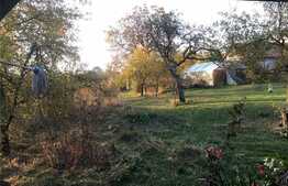 Casa individuala de vanzare, 100 mp utili, 2100 mp teren, Deusu