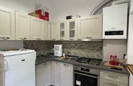 Apartament cu 1 camera, decomandat, cheltuieli incluse, parcare, zona strazii Bulevardul 21 Decembrie