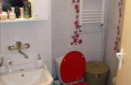 Vanzare 1 camera, 24 mp utili, zona strazii Primaverii. Loc de parcare inclus!