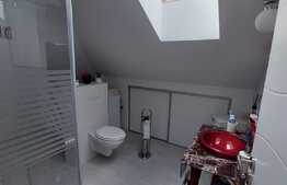 Penthouse, 155mp, 4 camere, 2 locuri de parcare, zona Avram Iancu