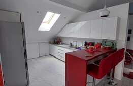 Penthouse, 155mp, 4 camere, 2 locuri de parcare, zona Avram Iancu