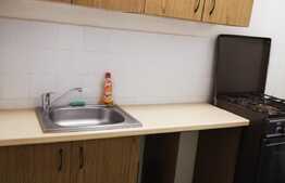 Garsoniera de 30 mp, parcare, pet friendly, zona strazii Detunata