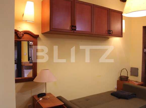 Garsonieră de închiriat Centrul Istoric - 71896AI | BLITZ Brașov | Poza3
