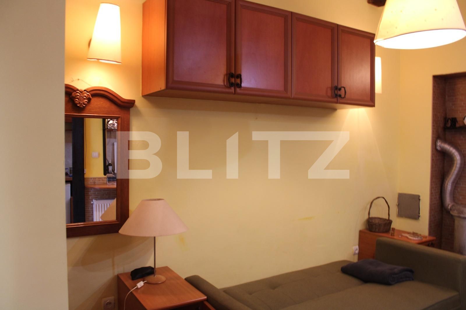Garsonieră de închiriat Centrul Istoric - 71896AI | BLITZ Brașov | Poza3