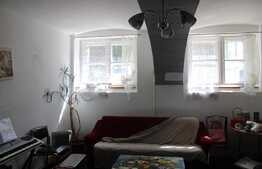 Apartament de 3 camere, Centru Istoric! Depozit sau activitati adiacente