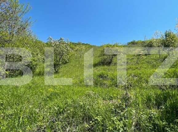 Teren de vânzare Dezmir - 71929TV | BLITZ Cluj-Napoca | Poza1