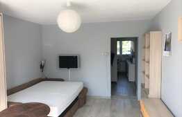 1 camera, 30 mp, mobilat modern, zona Regionala CFR. Disponibil din 15 Februarie