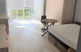 1 camera, 30 mp, mobilat modern, zona Regionala CFR. Disponibil din 15 Februarie