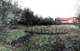 Casa individuala cu 1274 mp de teren, Jucu de Sus!