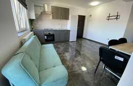 Apartament 2 camere decomandate, 53 mp, parcare subterana, zona Teilor! 