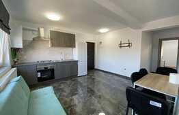 Apartament 2 camere decomandate, 53 mp, parcare subterana, zona Teilor! 