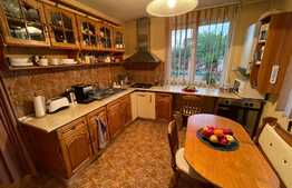 Casa individuala de 164 mp, 325 mp teren, zona Cetatii 