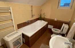 Casa individuala de 164 mp, 325 mp teren, zona Cetatii 