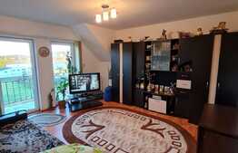 2 camere decomandate, etaj intermediar, zona Muzeul Apei