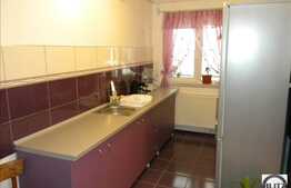 Apartament cu 1 camera, 47 mp, zona Stejarului, etaj intermediar